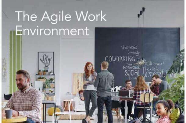 The Agile Work Environment